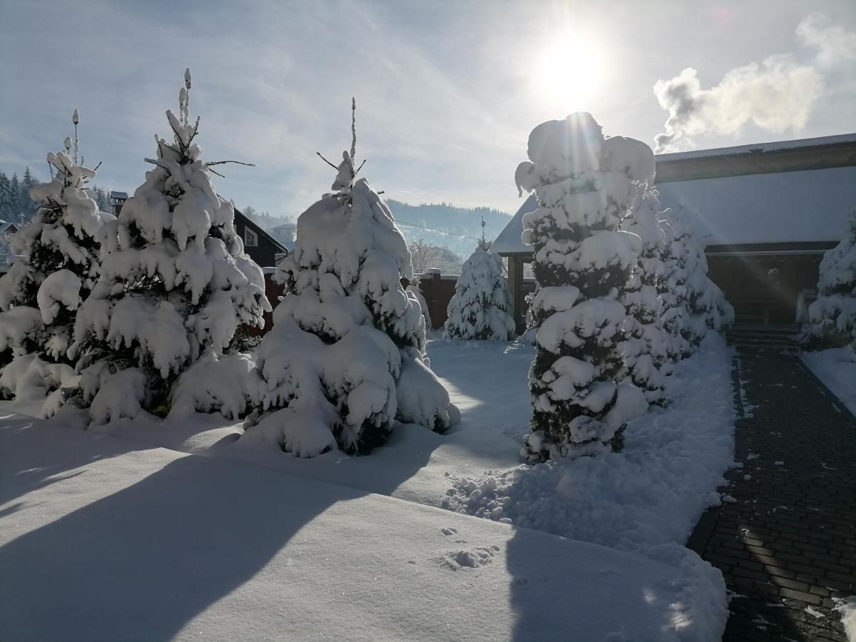 Chalet Zolota Pidkova スラブスク エクステリア 写真