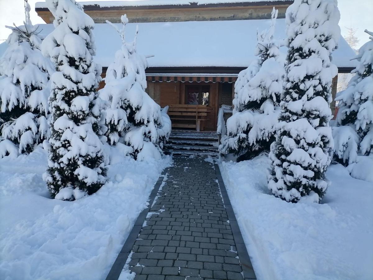 Chalet Zolota Pidkova スラブスク エクステリア 写真