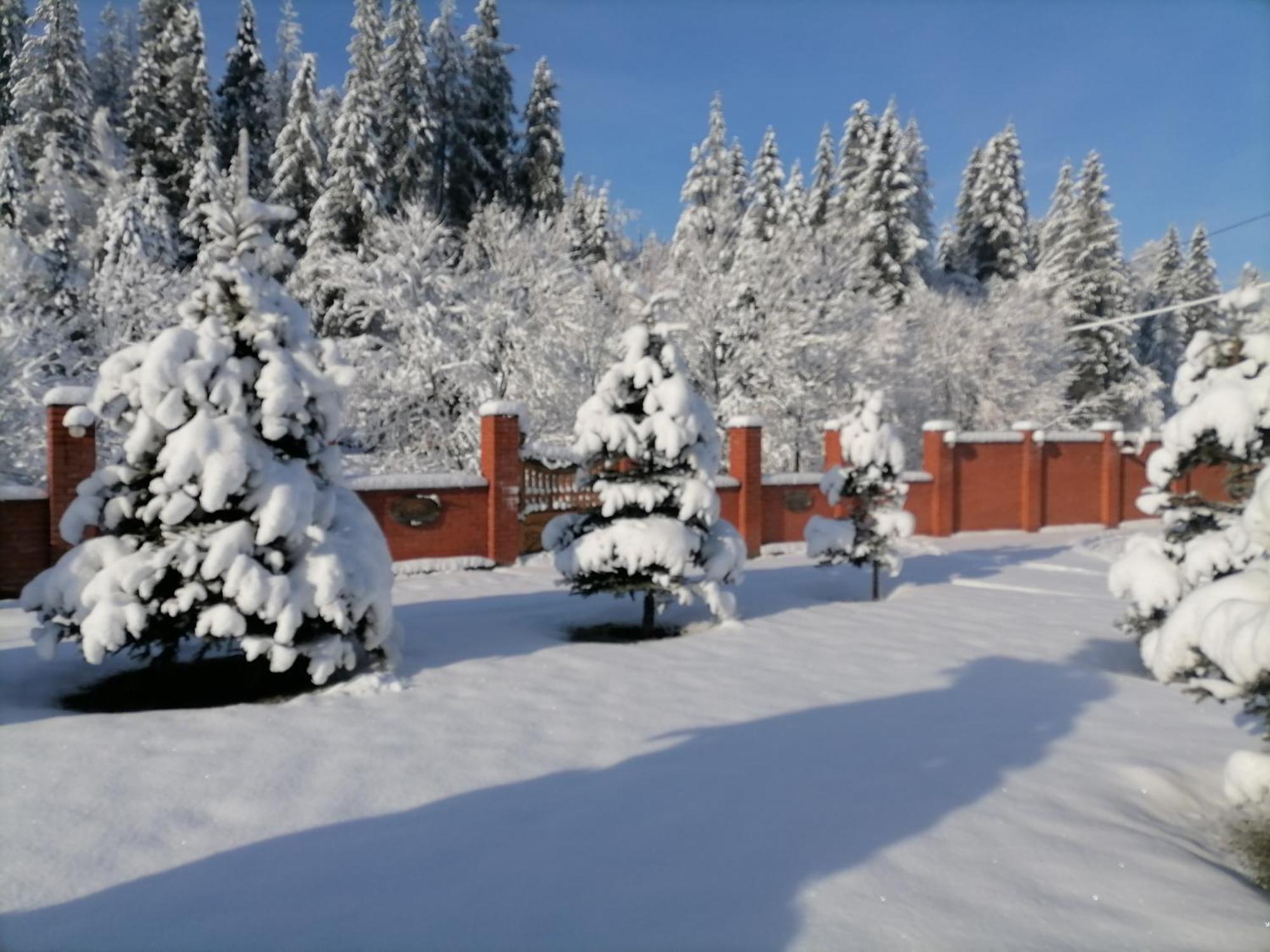 Chalet Zolota Pidkova スラブスク エクステリア 写真